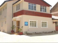 Palm Tree Bed and Breakfast