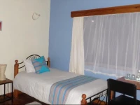 Vine Homes International