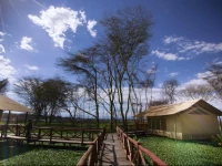 Kiboko Luxury Camp