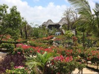 Jacaranda Villas Club