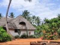 Mimi na Wewe...in Africa!