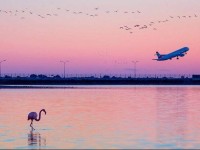 Apart - Emiliano Penthouse 401