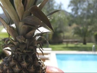 Eve Pissouri Rozaki Villa