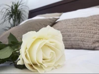 Villa Margarita View