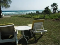 Sandy Beach House 14