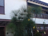 Casa de Huespedes Shalom Victoria