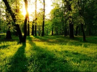 Hotel Casa MalГ­ Centro Internacional