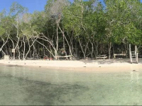 Eco-hostal Casa Nativa Isla