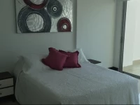 Apartamentos Palmeto Eliptic