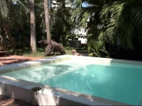 Casa del Cabrero B/Garden/B