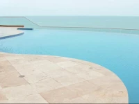 Oceanfront Palmetto Eliptic