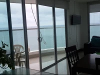 Palmetto Eliptic Bahia