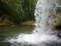 Finca Turismo Rural Palermo