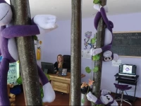 Purple Monkey Hostel