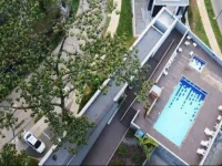 Modern And Luxury Apartment