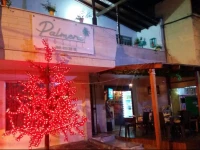 Palmera Hostel