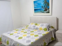 Apartamentos Premier 5