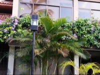 Linda casa caribeГ±a