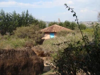 Residencias ArtГ­sticas el Hayuelo