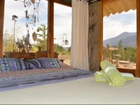 The Little Glass House