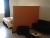 Hotel Puerta de Alcala