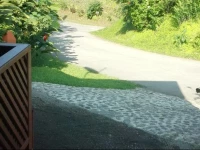 Cabina Las Orquideas