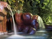 Baldi Hot Springs Hotel & Spa