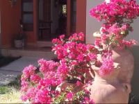 El jardГ­n de Anabelle