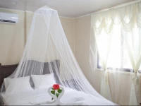 Hotel Caribbean Coconut