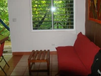 Bird Watching Apartment