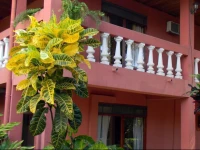 Cabinas Paraiso Pez Vela