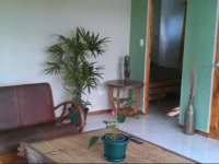 Cosy Top Tress Jungle Apartment