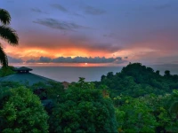 Buena Vista Luxury Villas and Tulemar Bungalows