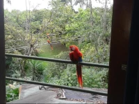 Didis Charming House B&B