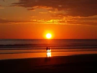 JardГ­n de los Monos