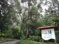 Los Pinos - CabaГ±as & Jardines