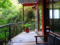 Manakin Lodge Monteverde