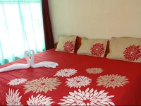 Sloth Backpackers Bed & Breakfast