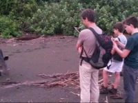 Corcovado Wild Hostel