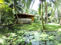 Hotel La Costa de Papito