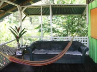 Tropical Jungle House