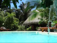 Hotel El PequeГ±o Gecko Verde