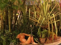 Colours Oasis Lifestyle Inclusive Resort