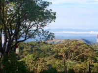 Villa Ocotea Monteverde