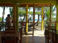 Cabinas Icaco Tortuguero