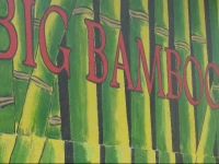 Big Bamboo de Uvita