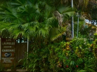 Cabinas Los Laureles