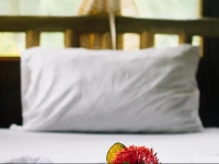 Hotel Canto de Ballenas