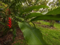 Holiday home Frankys Paradise