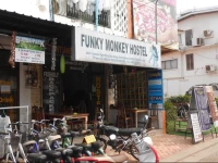 Funky Monkey Hostel